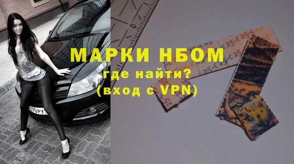 индика Балахна
