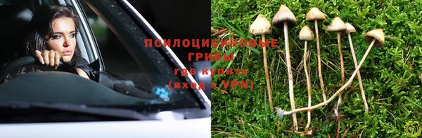 apvp Белокуриха