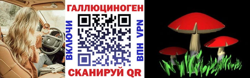 Псилоцибиновые грибы ЛСД как найти закладки Кувандык