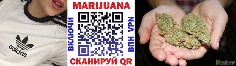 где купить Кувандык МАРИХУАНА ГИДРОПОН